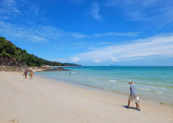 Samui Blue Bird